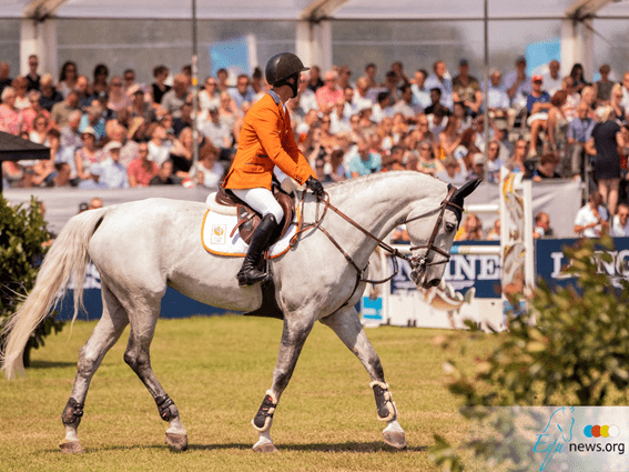 Jóquei Em Seu Cavalo Que Pula Sobre Um Obstáculo Foto de Stock