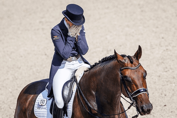 Foto de Cavalo Pulando Obstáculos Durante O Treinamento De Escola