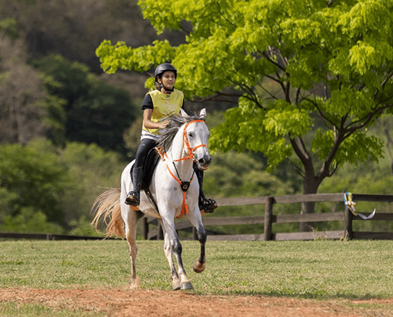 Time Brasil de Enduro Equestre inicia disputas no Campeonato