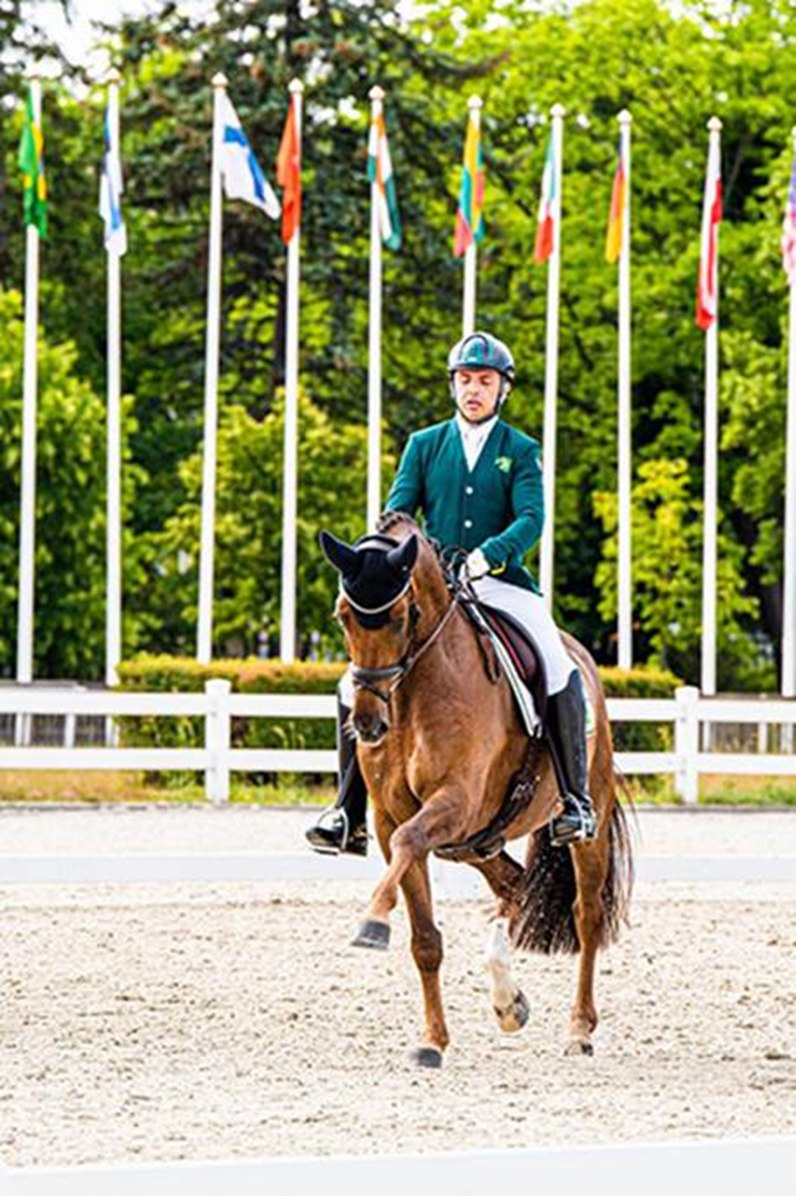 Federação Equestre Internacional destaca carreira do brasileiro Rodolpho  Riskalla - CPB